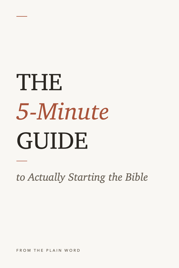 The 5-Minute Guide